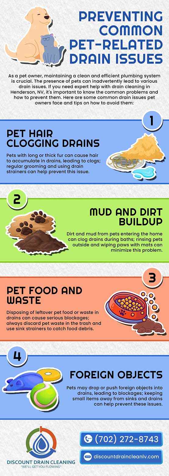 Preventing Common Pet Related Drain Issues